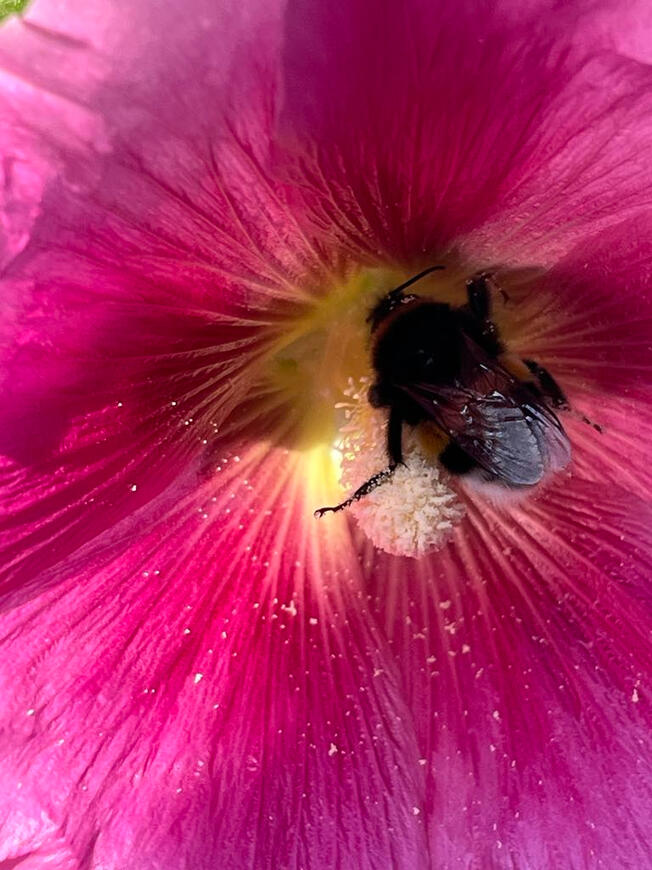 Foto: Ann Kathrin Jantsch