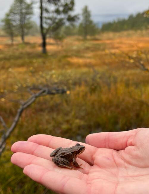 Foto: Ann Kathrin Jantsch