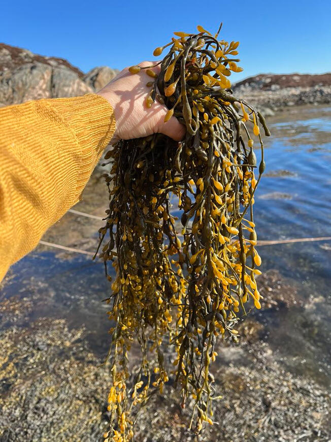 Foto: Ann Kathrin Jantsch